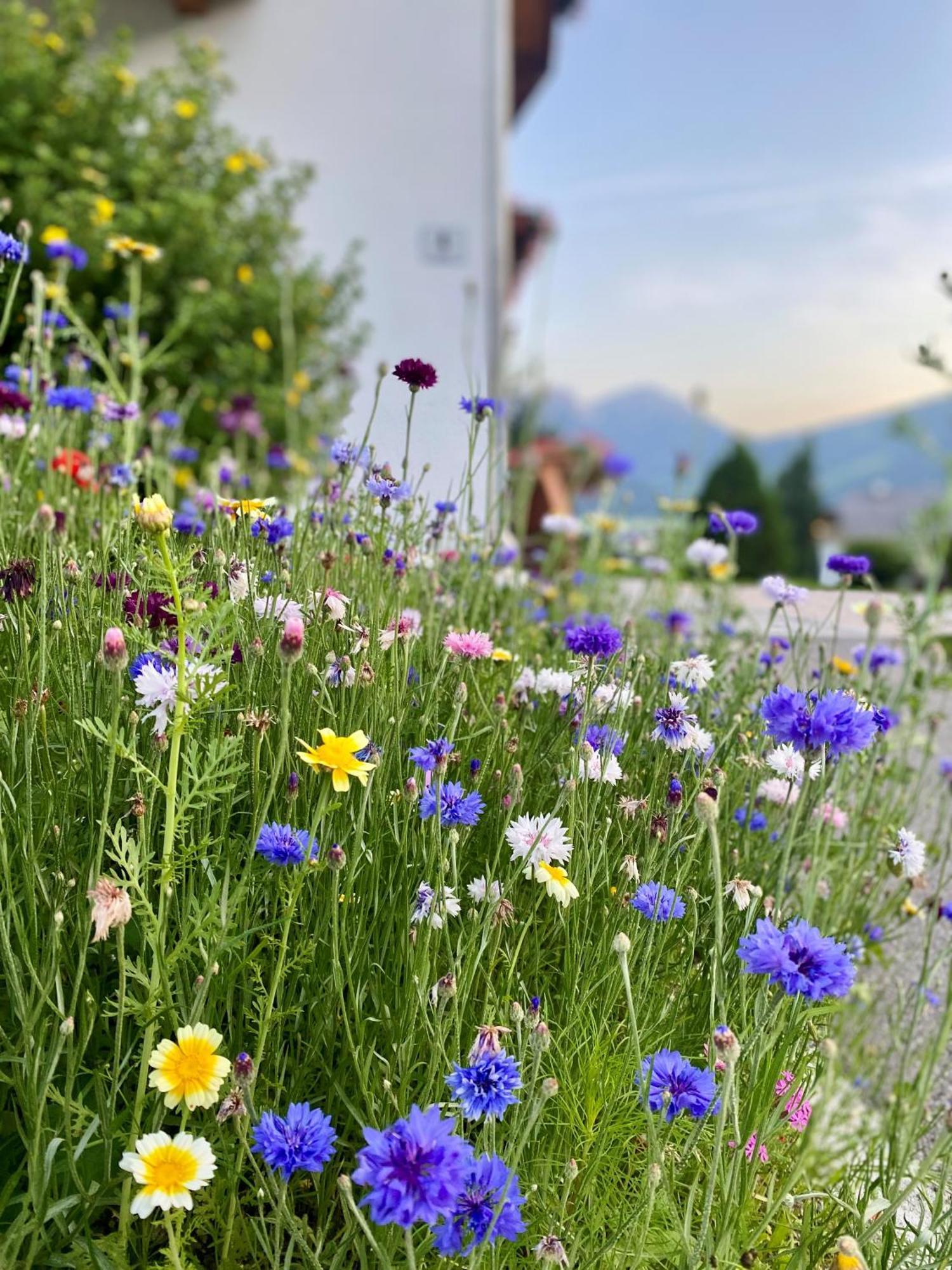 Appartements Wiesenheim Rasun di Sopra Bagian luar foto