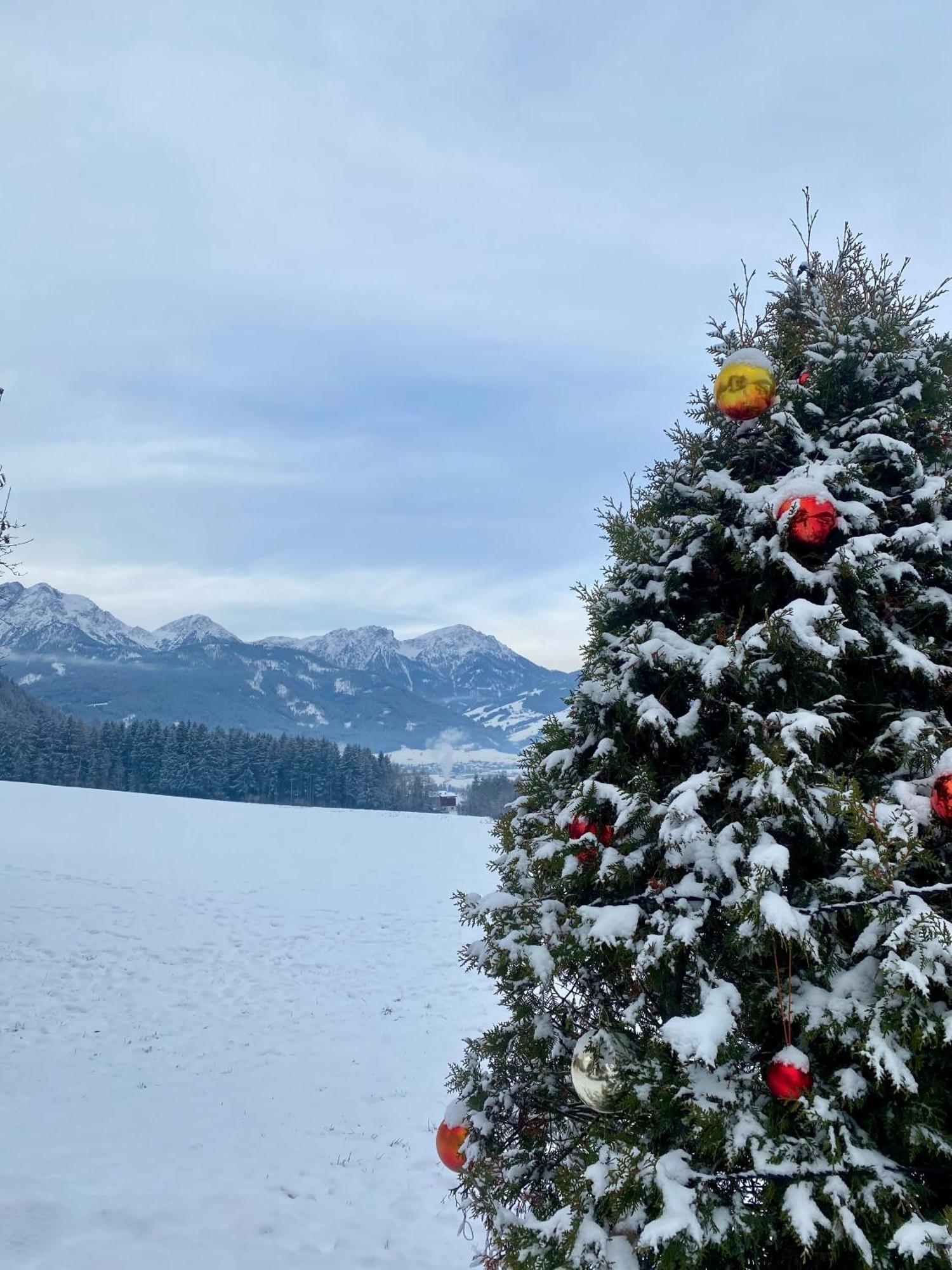 Appartements Wiesenheim Rasun di Sopra Bagian luar foto