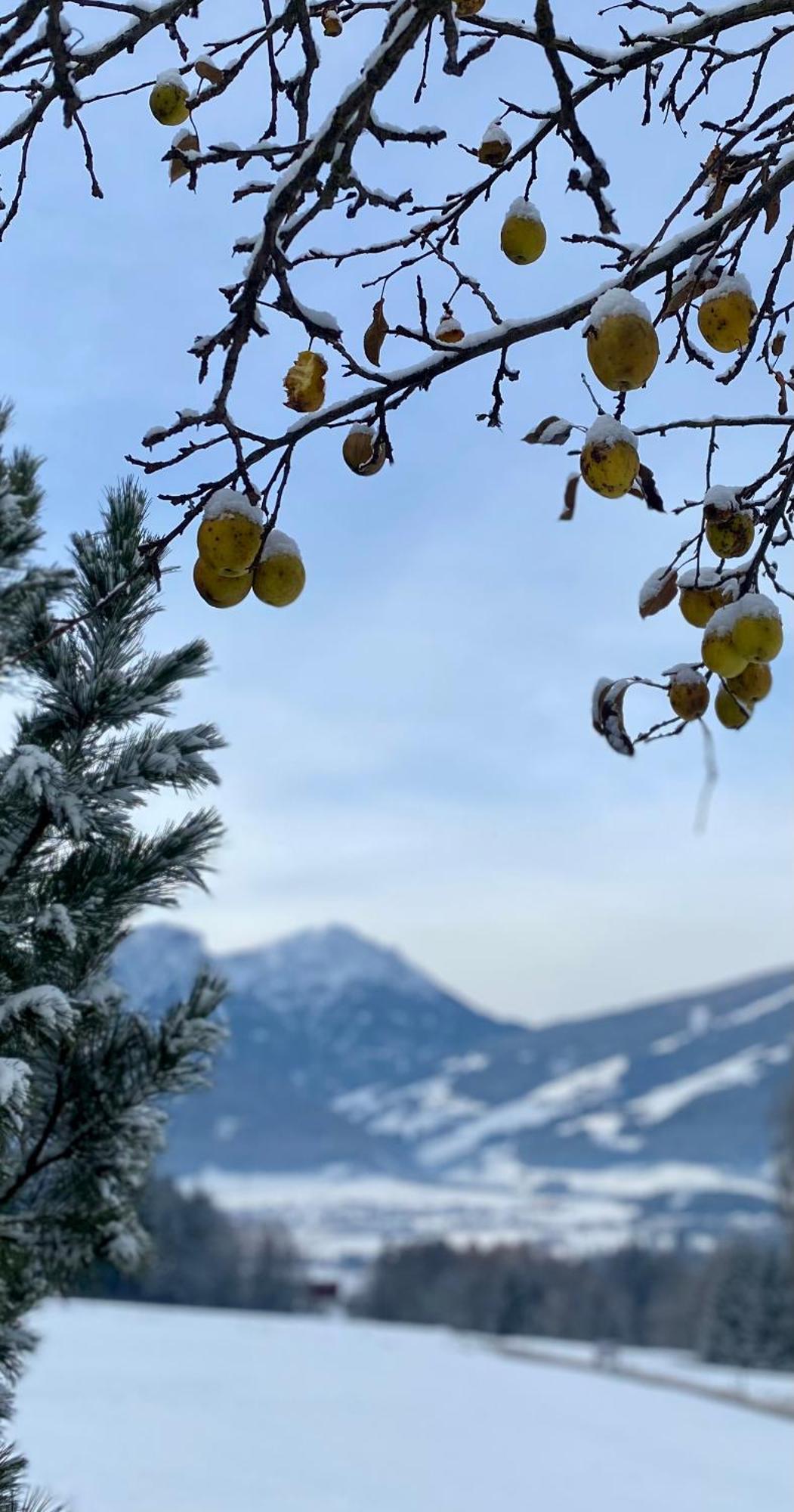 Appartements Wiesenheim Rasun di Sopra Bagian luar foto